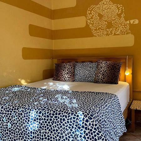 Paradisegarden Backpackers Windhoek Ngoại thất bức ảnh
