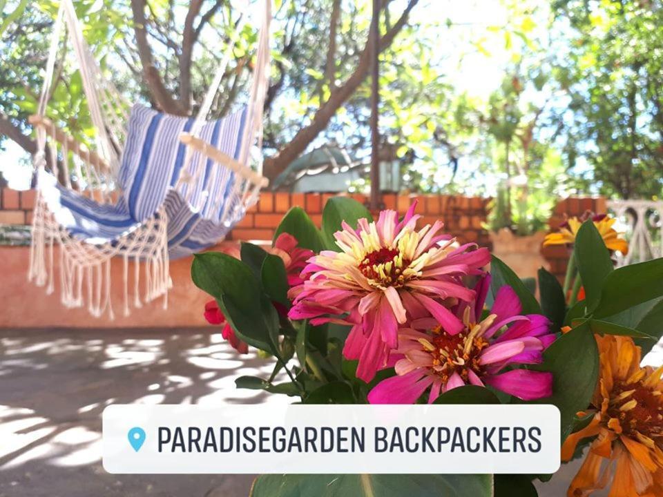 Paradisegarden Backpackers Hostel Windhoek Ngoại thất bức ảnh