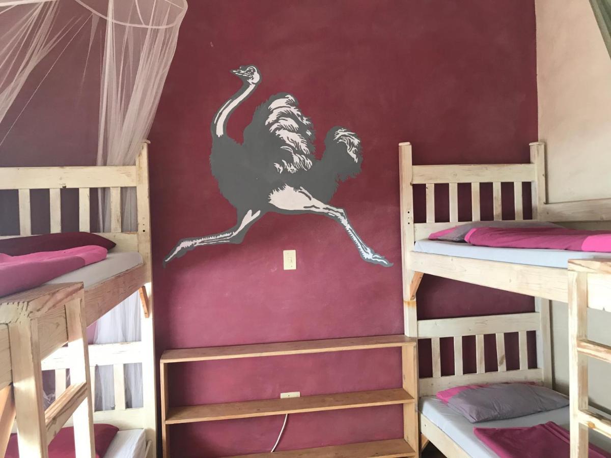 Paradisegarden Backpackers Hostel Windhoek Ngoại thất bức ảnh