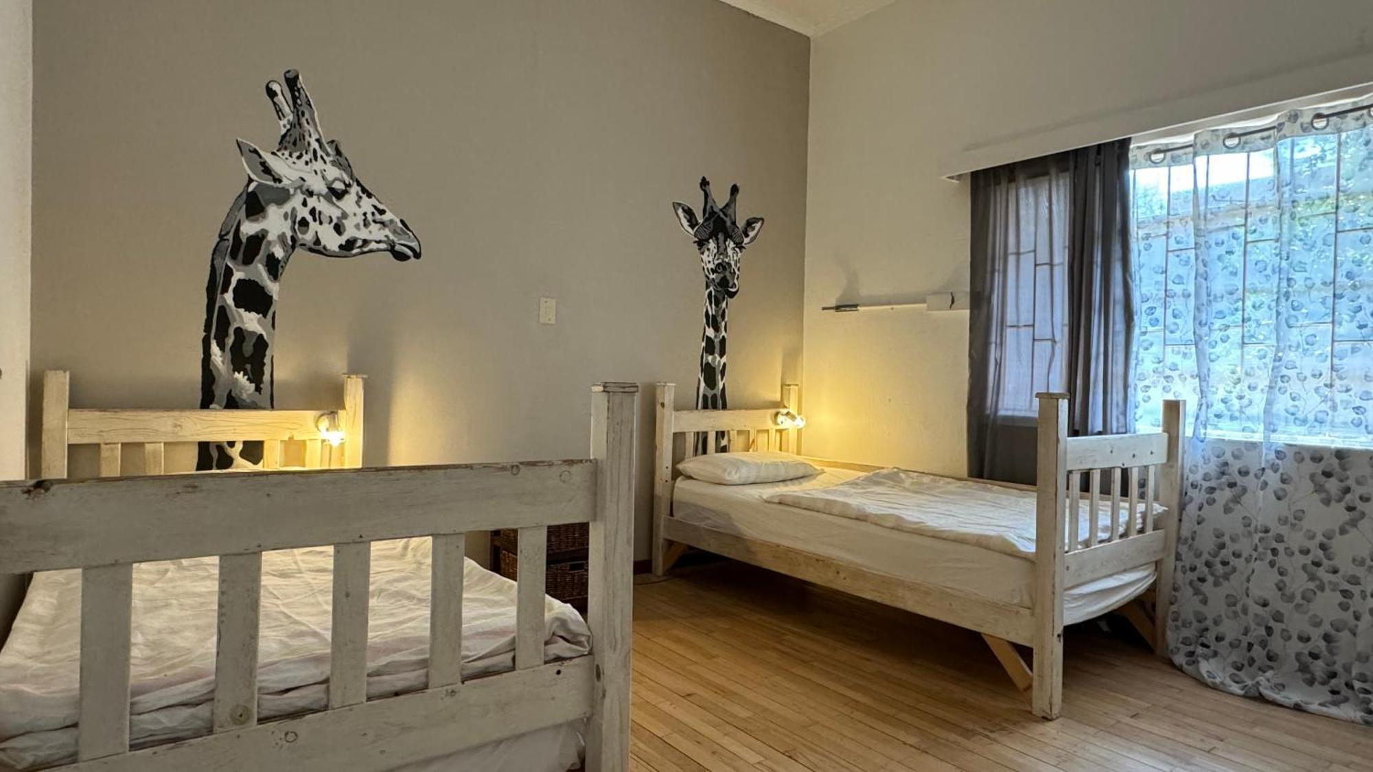 Paradisegarden Backpackers Windhoek Ngoại thất bức ảnh