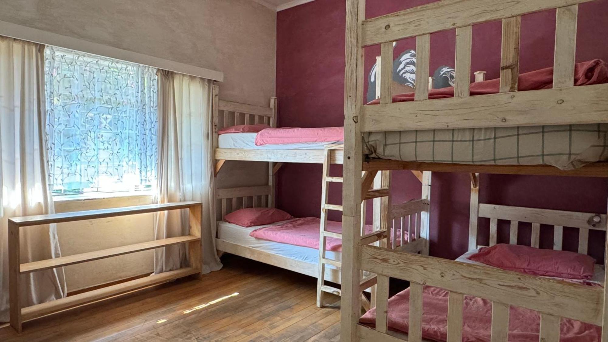 Paradisegarden Backpackers Windhoek Ngoại thất bức ảnh