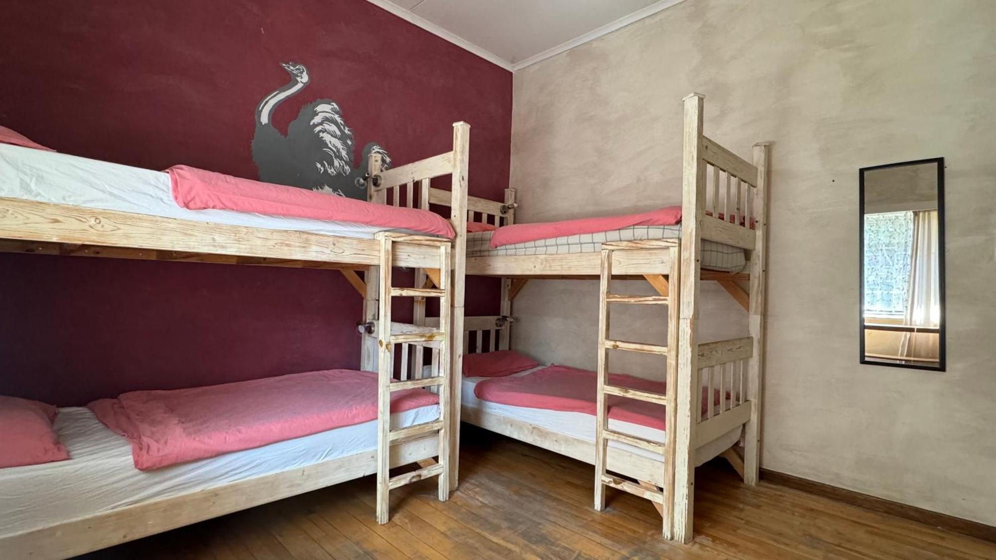 Paradisegarden Backpackers Windhoek Ngoại thất bức ảnh