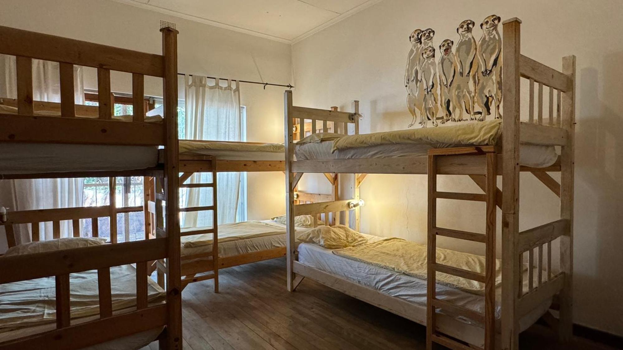 Paradisegarden Backpackers Windhoek Ngoại thất bức ảnh